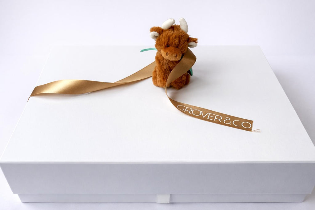 The New Baby Gift Box