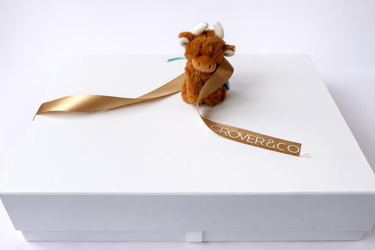 The New Baby Gift Box